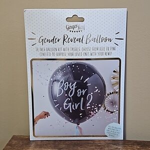 Ginger Ray Gender Reveal Balloon Kit with Confetti & Tassels